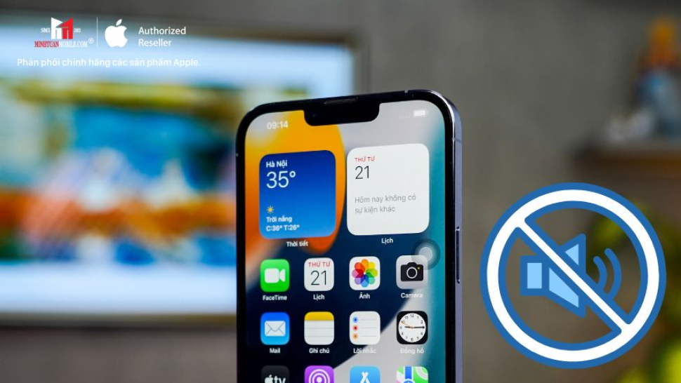 Cách bật tính năng chống ồn cuộc gọi trên iPhone