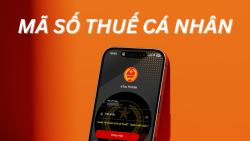 Hướng dẫn tra mã số thuế cá nhân trên điện thoại dễ dàng