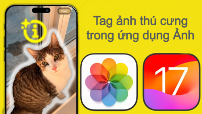 Biến thú cưng thành 
