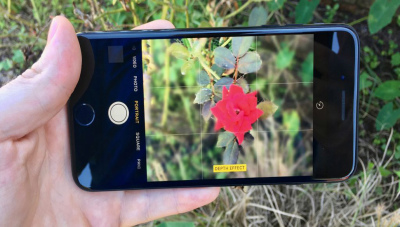 Nổi bật chủ thể với mẹo xoá phông trên iPhone