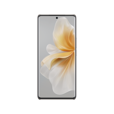 Vivo V Series