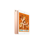 iPad mini