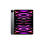 iPad Pro