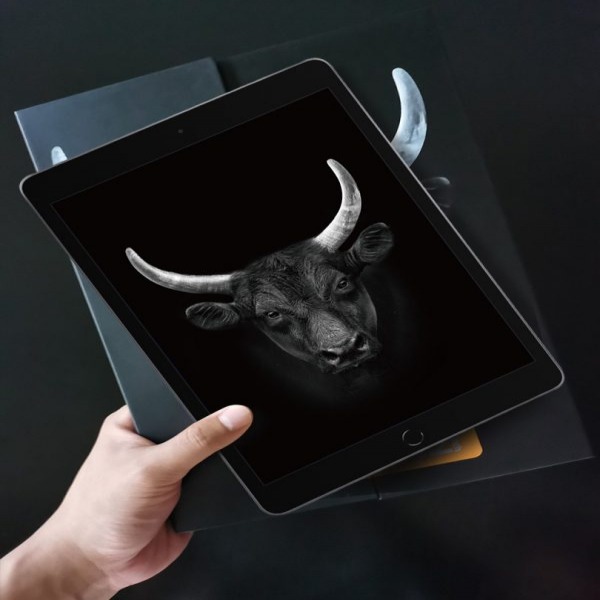BJ204D - Cường lực Mipow Kingbull Premium HD cho iPad - 4