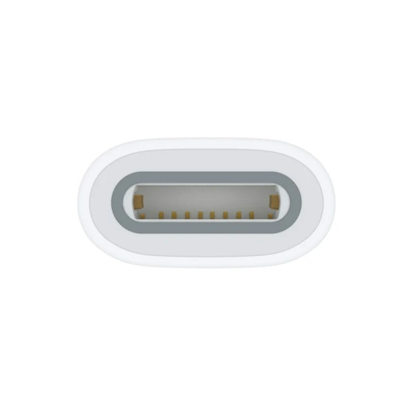 MQLU3 - Bộ chuyển đổi Apple Adapter Type-C to Apple Pencil - 2