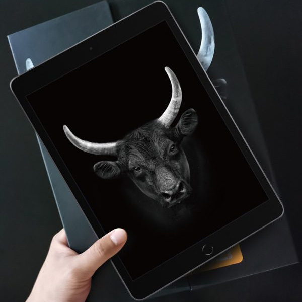 BJ204ECR - Cường lực Mipow iPad (A16) Gen 10 2022 - 3
