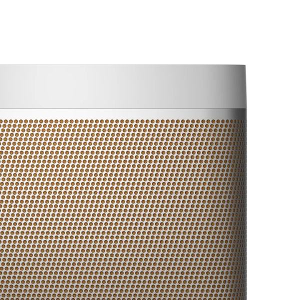1253300 - Loa Bluetooth B&O BeoLit 20 - 9