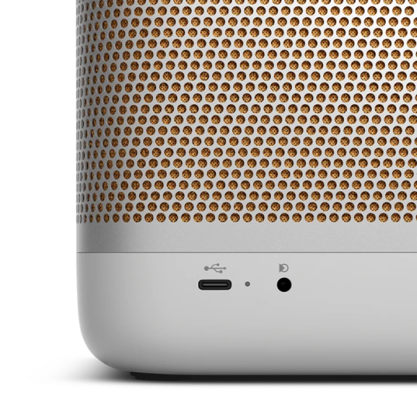 1253300 - Loa Bluetooth B&O BeoLit 20 - 10