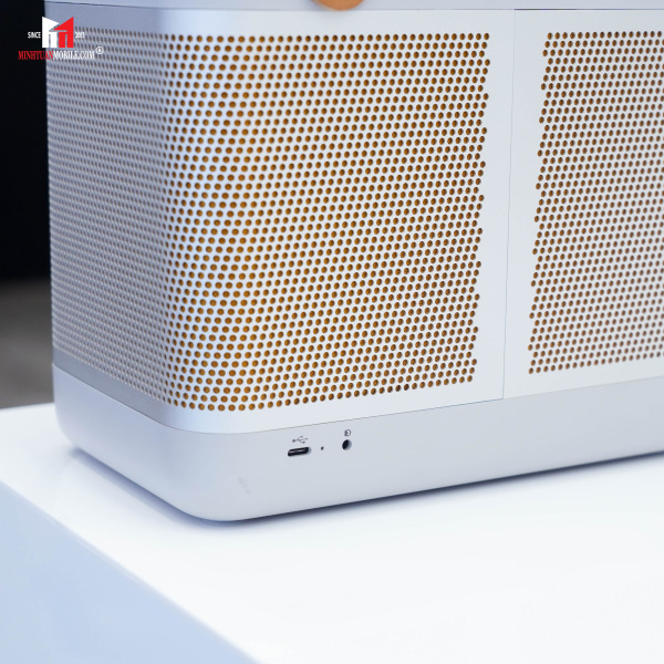 1253300 - Loa Bluetooth B&O BeoLit 20 - 14