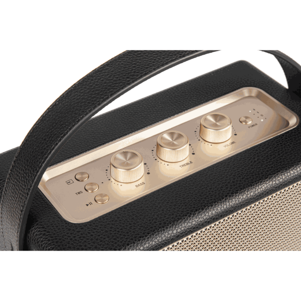 AWW88BLK - Loa Bluetooth Alpha Works W88 - 6