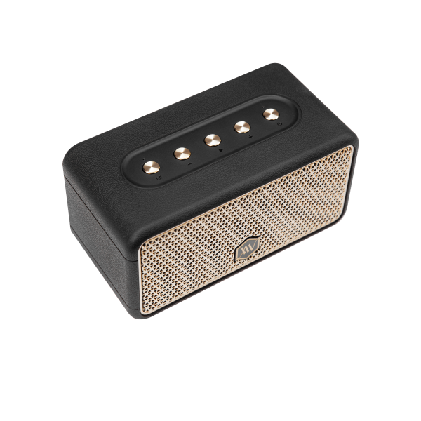 AWW38BLK - Loa Bluetooth Alpha Works W38 - 2