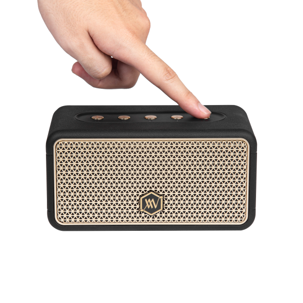 AWW38BLK - Loa Bluetooth Alpha Works W38 - 3
