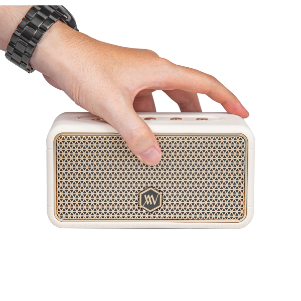 AWW38BLK - Loa Bluetooth Alpha Works W38 - 9