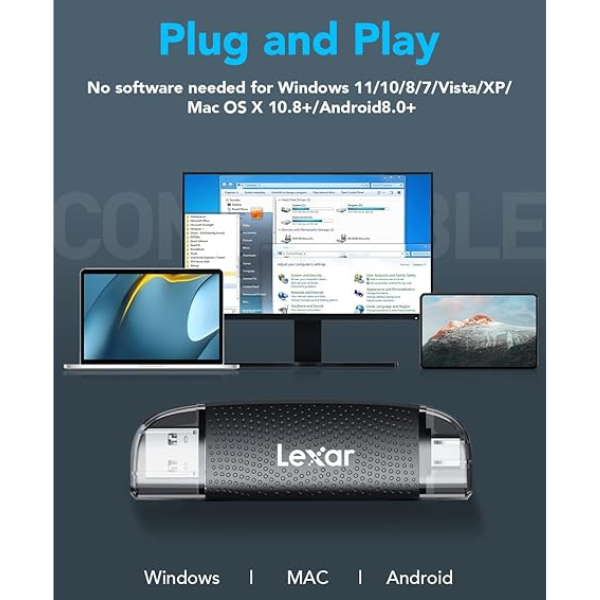 LRW310U-BNBNG - Đầu đọc thẻ nhớ Lexar Dual Slot MicroSD SD Card Reader - 10