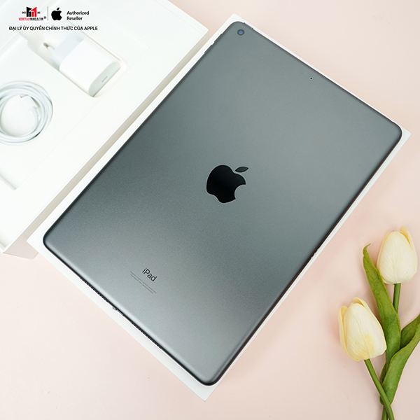 IPAD-10-2-256-GB-WIFI-CHINH-HANG-VN-A - iPad Gen 9 Wifi 256GB - Chính Hãng VN - 4