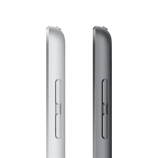 IPAD-10-2-256-GB-WIFI-CHINH-HANG-VN-A - iPad Gen 9 Wifi 256GB - Chính Hãng VN - 22