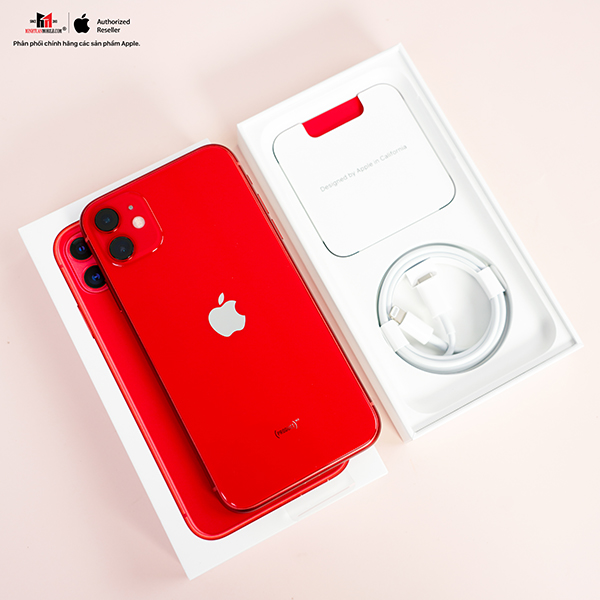 8842 - iPhone 11 64GB - Cũ đẹp - 8