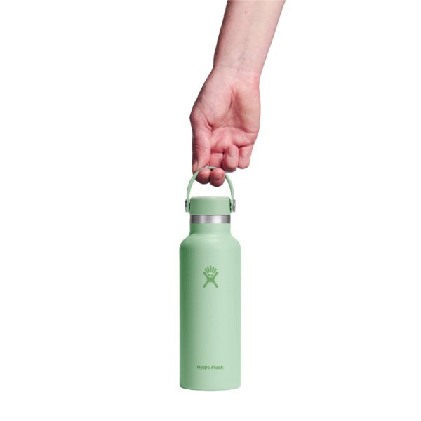 S18CSX484 - Bình nước giữ nhiệt Hydro Flask Standard Flex Cap 18 OZ (532 ml) - 4