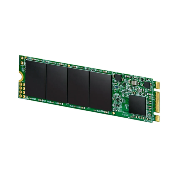 SSDINT07072412 - Ổ cứng SSD gắn trong Transcend MTS825S 1TB M.2 2280 SATA 3D-NAND upto 550MB s (TS1TMTS825S) - 2