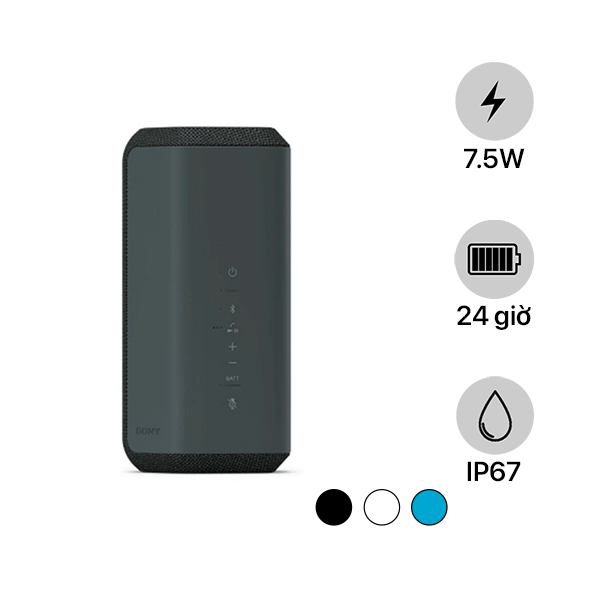 Loa Bluetooth Sony SRS-XE300 Qua Sử Dụng